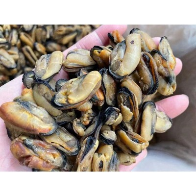 新晒大号淡菜干散装青口干海虹干500g煲汤食用农产品淡菜干货批发图4