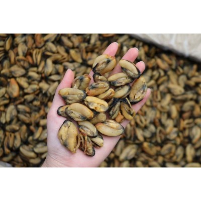 新晒大号淡菜干散装青口干海虹干500g煲汤食用农产品淡菜干货批发图3