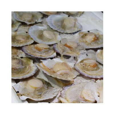 供应海鲜水产新鲜元贝大扇贝烧烤专用食材海鲜鲜活家庭商用元贝图5