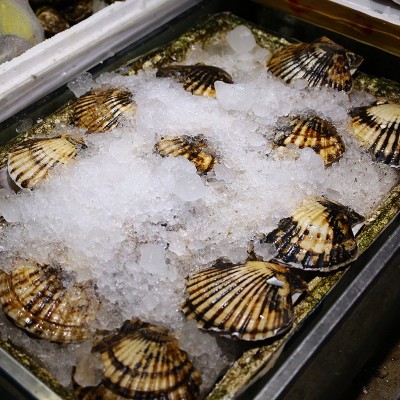 供应海鲜水产新鲜元贝大扇贝烧烤专用食材海鲜鲜活家庭商用元贝图2