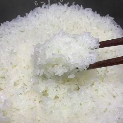 大米 米范时代五常SOD富硒大米5kg/袋当季新米年货会销东北大米图5