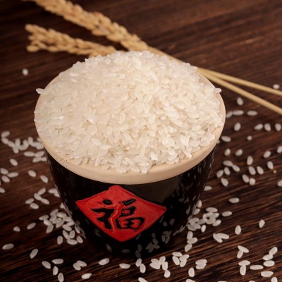 厂家批发询米道五常大米5KG/袋中长粒当季东北大米真空包装现货图3