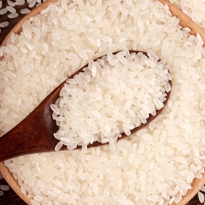 厂家批发询米道五常大米5KG/袋中长粒当季东北大米真空包装现货图4