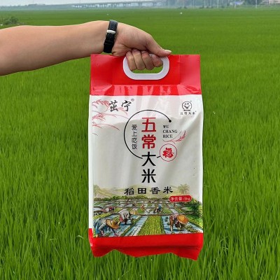 23年东北大米5kg稻田香米新米黑龙江大米10斤五常大米东北长粒香图2