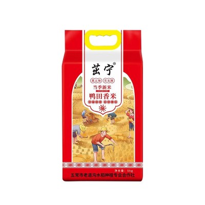 2023新米五常大米鸭田稻香米10斤大米东北大米现磨厂家批发图4