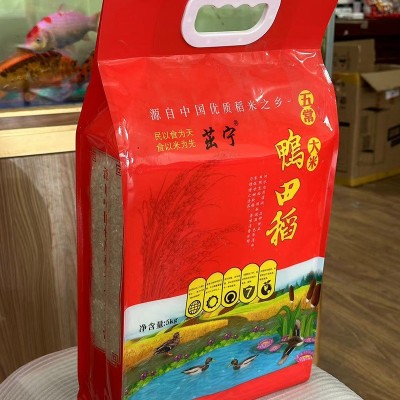 五常大米鸭田香米10斤5kg一袋东北新米稻花长粒香米厂家批发代发图3