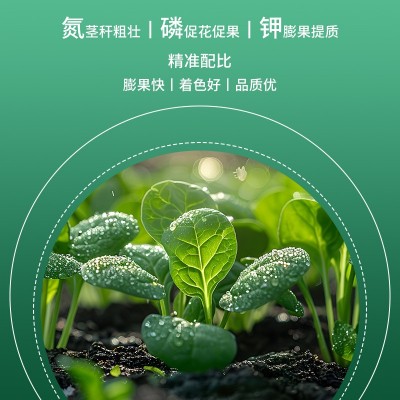 大量元素20—20—20水溶肥通用型壮苗平衡型复合肥料图5