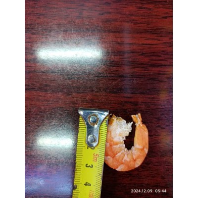 批发大号渤海湾海米干货金钩虾米新鲜淡干虾米海产品图3