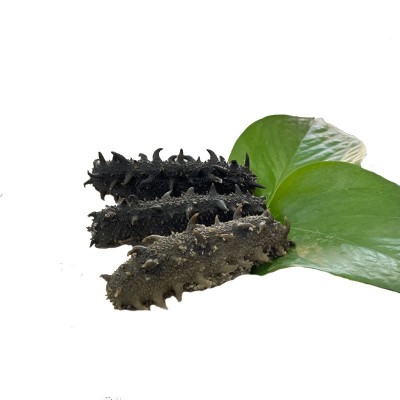 工厂批发威海刺参北方刺大火拉缸盐盐渍海参大小头数请咨询图5