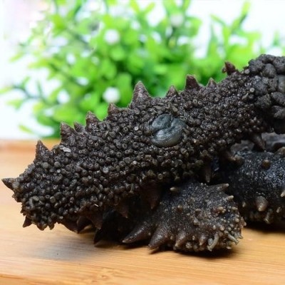 工厂批发威海刺参北方刺大火拉缸盐盐渍海参大小头数请咨询图4