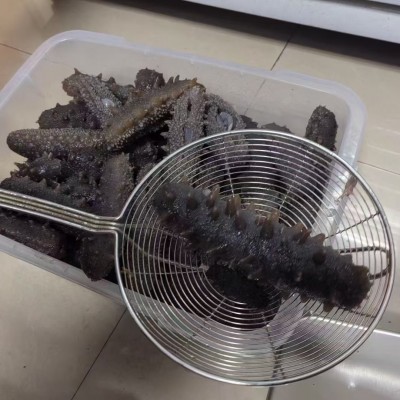 即食海参 酒店食材淡干海参独立包装散装即食海参速食野生图3