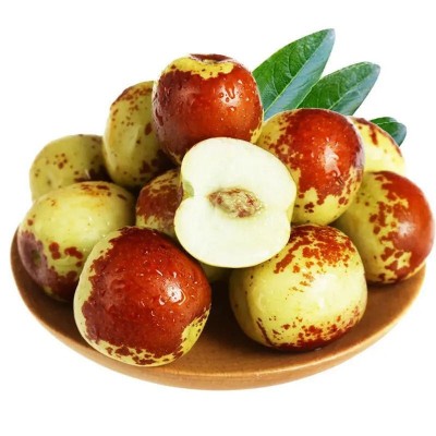 沾化冬枣新鲜采摘脆甜青红枣爆甜多汁大果沾化冬枣产地直发代发图4