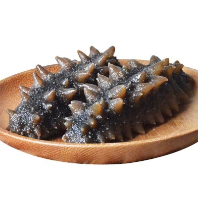 阜实商贸海鲜批发大连即食海参500g 辽参刺参 海参海鲜水产干货图4