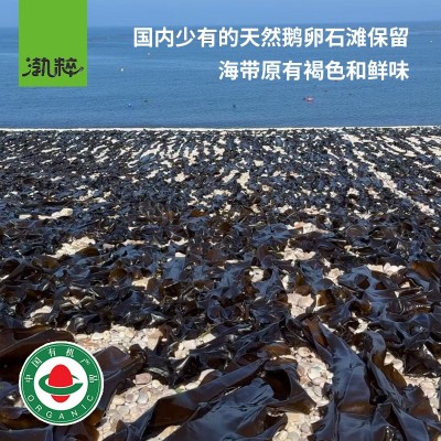 厂家海带丝批发凉拌海带干货40g熟干免洗泡发即食饭店用火锅食材图3