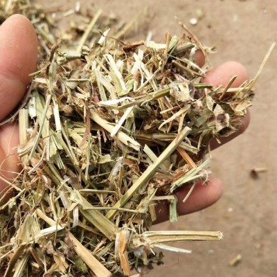 花生秧 打碎草段草粉细粉 枯黄干度好 明杰牧业供应图5