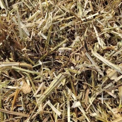 花生秧 打碎草段草粉细粉 枯黄干度好 明杰牧业供应图4