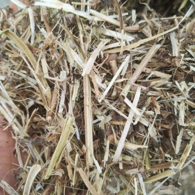 花生秧 牛羊饲料用 纯干花生茎加工青贮 植物纤维营养价值图5