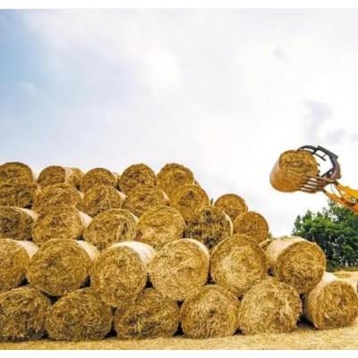 麦秸秆 小麦原料 木纤维 羊 青干草料 明杰牧业 压捆供应图5