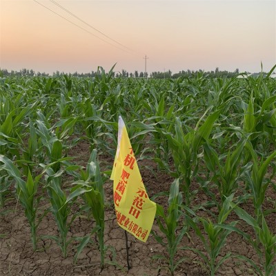 矿源黄腐酸钾腐植酸全水溶肥生根调酸碱土壤果蔬药材有机肥图4