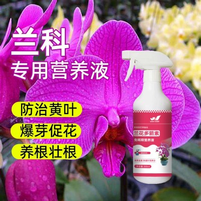 兰花多箭素营养液爆芽多箭延长花期促花治黄叶有机肥图2