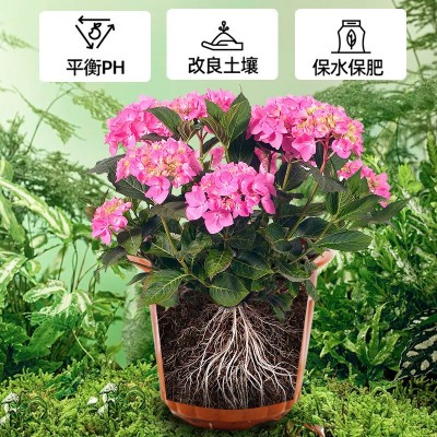 土壤活化剂矿源黄腐酸钾改善土壤板结家庭园艺植物通用型活化剂图3