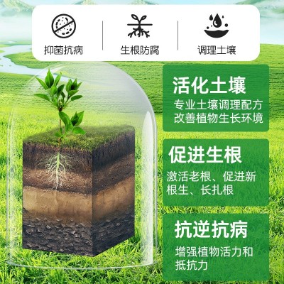 土壤活化剂矿源黄腐酸钾改善土壤板结家庭园艺植物通用型活化剂图5