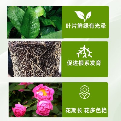 硫酸亚铁花卉缓释肥 蔬菜花卉控释肥 调节土壤酸碱度350g图4