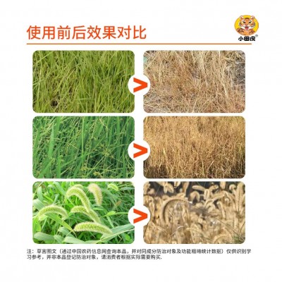 精草铵膦铵盐正品烂根剂荒地牛筋飞蓬灭杂草甘草膦农药强力除草剂图3