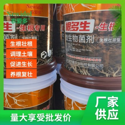 蔬菜肥料叶面肥根多生营养液 结果性较强 耐低温大果 金世泰图3