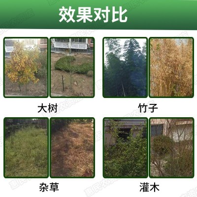 环嗪哃杀大树竹子灌木除树剂除大树环嗪酮环嗪哃除草烂根 剂环嗪酮图5