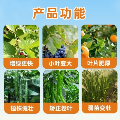 氨基酸叶面肥果树蔬菜花卉植物通用一喷绿微量元素生根水溶肥料图2
