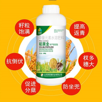 水稻专用叶面肥防病增产分蘖稻黄金增产剂水溶肥抗倒伏返青灌浆肥图2