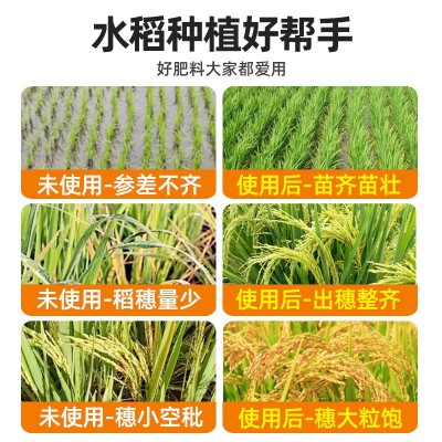 水稻专用叶面肥防病增产分蘖稻黄金增产剂水溶肥抗倒伏返青灌浆肥图3