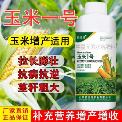 玉米一号叶面肥 金大棒专用肥籽粒饱满抗倒伏增产素控旺 剂水溶肥图2