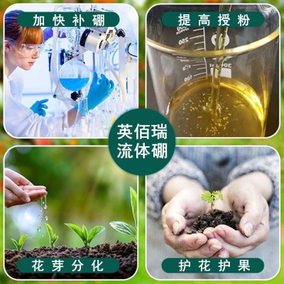 流体硼叶面肥硼肥果树专用冲施硼通用花卉果蔬微量元素颗粒硼农用图3