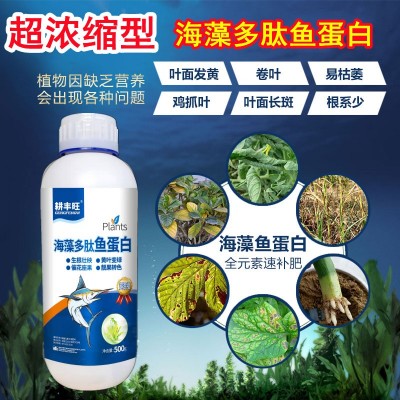 海藻鱼蛋白叶面肥水溶肥喷施微量元素黄叶死苗一喷绿海藻肽 鱼蛋白图2