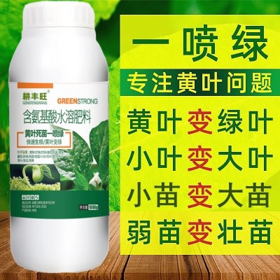 黄叶一喷绿叶面肥果树蔬菜花卉黄叶植物通用含氨基酸水溶肥 叶绿素图2