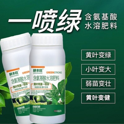 黄叶一喷绿叶面肥果树蔬菜花卉黄叶植物通用含氨基酸水溶肥 叶绿素图3