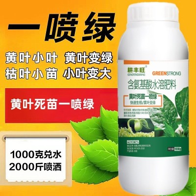 黄叶一喷绿叶面肥果树蔬菜花卉黄叶植物通用含氨基酸水溶肥 叶绿素图4