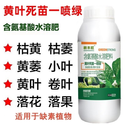 黄叶一喷绿叶面肥果树蔬菜花卉黄叶植物通用含氨基酸水溶肥 叶绿素