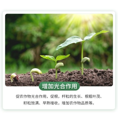 含氨基酸水溶肥料果树蔬菜花卉药材通用氨基酸营养叶面肥5 00ml/瓶图4