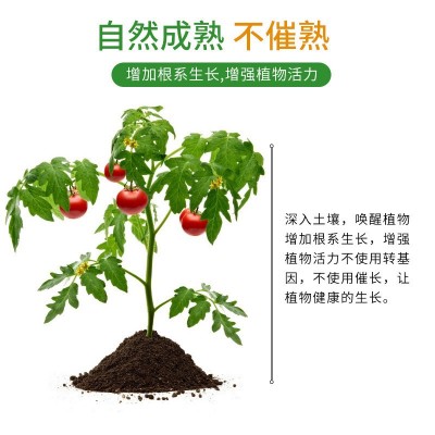 含氨基酸水溶肥料果树蔬菜花卉药材通用氨基酸营养叶面肥5 00ml/瓶图3