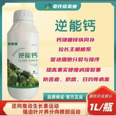 液体钙螯合钙镁锌硼果树叶面肥拉长根系防裂果冲施水溶肥图2