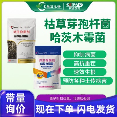 哈茨木霉菌枯草芽孢杆菌农用生根壮苗防腐微生物菌剂水溶肥冲施肥图2