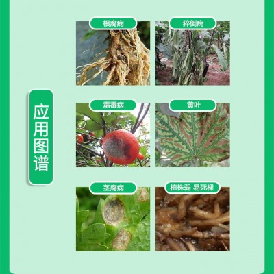 哈茨木霉菌枯草芽孢杆菌农用生根壮苗防腐微生物菌剂水溶肥冲施肥图4