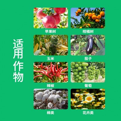 定制海藻鱼蛋白液体水溶肥生根壮苗高钙高钾通用冲施肥农用叶面肥图5