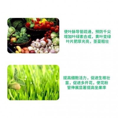 定制海藻鱼蛋白液体水溶肥生根壮苗高钙高钾通用冲施肥农用叶面肥图4