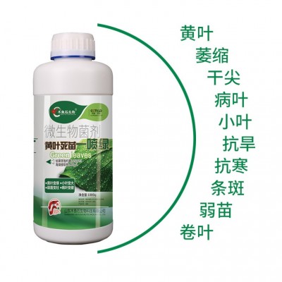 一喷绿水溶肥氨基酸叶面肥蔬菜果树槟榔药材微量元素农用冲施肥料图3