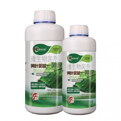 一喷绿水溶肥氨基酸叶面肥蔬菜果树槟榔药材微量元素农用冲施肥料图5