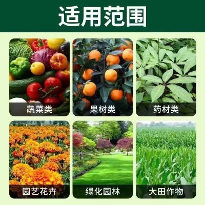基酸原液水溶肥叶面肥厂家直销柑橘葡萄果蔬生根壮苗膨 果着色肥图3